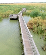 The boardwalk at the Leonabelle Turnbull Birding Center in Port Aransas, Texas, before Hurricane Harvey.